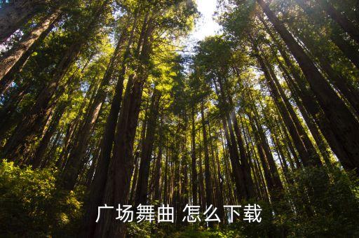 广场舞曲 怎么下载