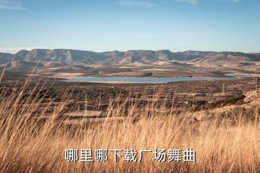 怎么下载免费的广场舞歌曲，广场舞曲 怎么下载