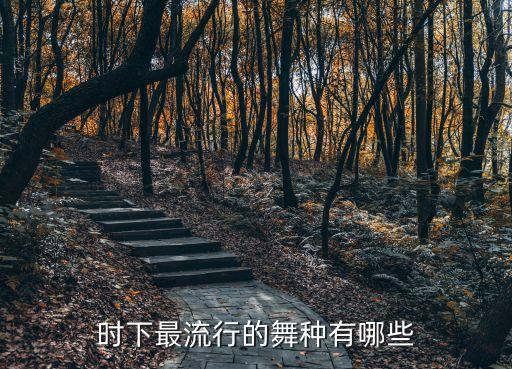 时下最流行的舞种有哪些