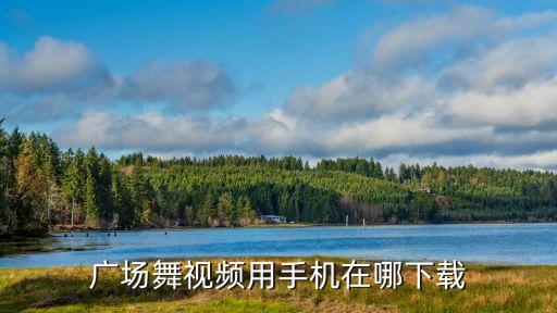 有什么广场舞软件下载，我妈最近迷上了广场舞有没有推荐的相关软件下载到荣耀盒子  搜