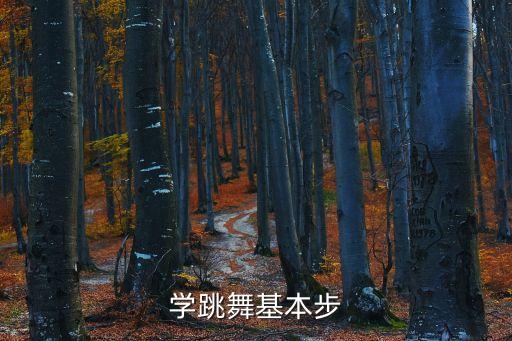 学跳舞基本步