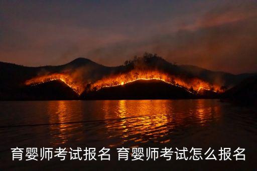 育婴师考试报名 育婴师考试怎么报名