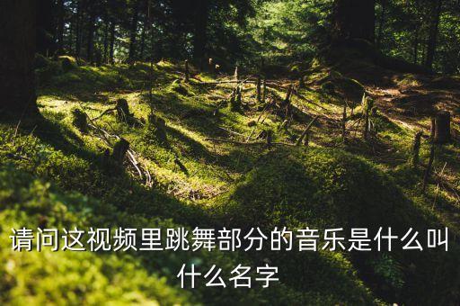 请问这视频里跳舞部分的音乐是什么叫什么名字