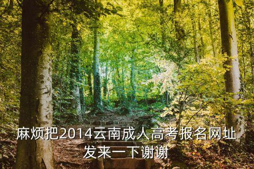 云南学历提升报名入口官网，云南自考报名网址