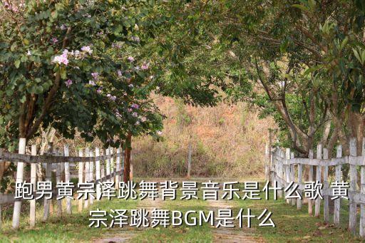 跑跳舞的音乐是什么歌，跑男黄宗泽跳舞背景音乐是什么歌 黄宗泽跳舞BGM是什么