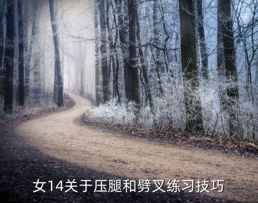 女14关于压腿和劈叉练习技巧