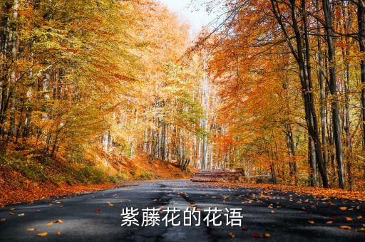 紫藤花的花语