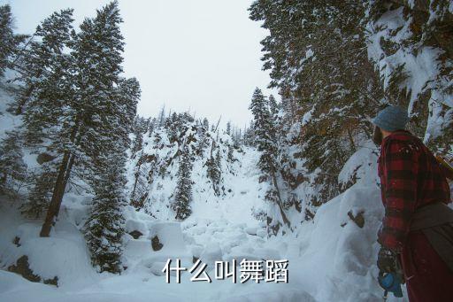 什么叫舞蹈