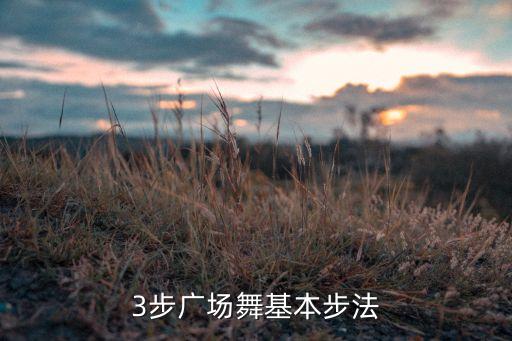 3步广场舞基本步法