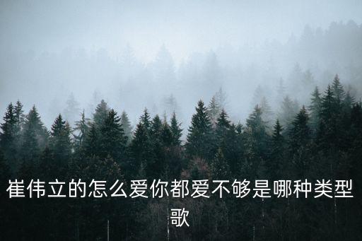 崔伟立的怎么爱你都爱不够是哪种类型歌