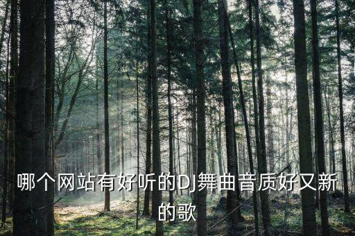哪个网站有好听的DJ舞曲音质好又新的歌