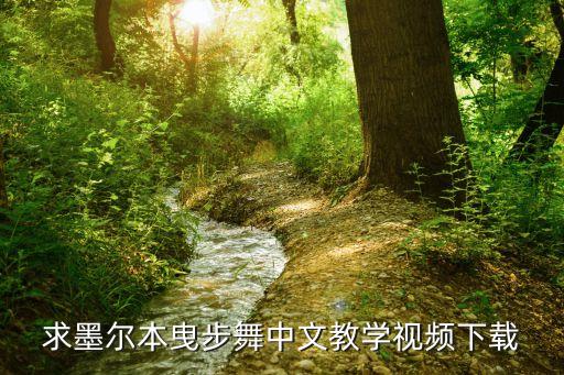 求墨尔本曳步舞中文教学视频下载