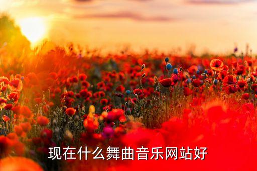 免费舞曲网站哪个好，哪个网站有好听的DJ舞曲音质好又新的歌