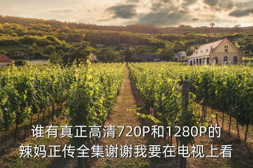 哪里有辣妈的视频下载，爱奇艺视频里怎么不能下载辣妈正传呢