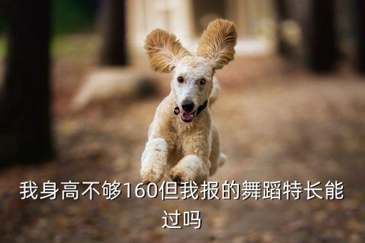 中考舞蹈特长生身材体重的要求，中考艺术特长生 什么要求 好考么