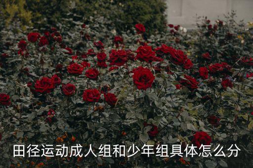 田径运动成人组和少年组具体怎么分
