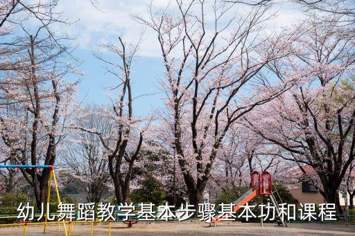 幼儿舞蹈教学基本步骤基本功和课程