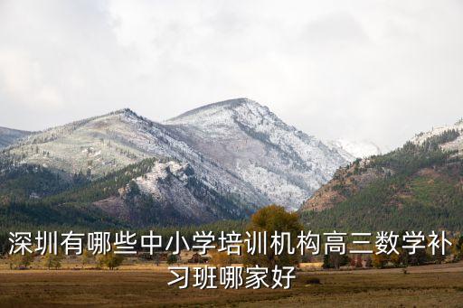 深圳有哪些中小学培训机构高三数学补习班哪家好