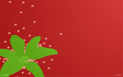 锦绣舞蹈教学视频,水浒传:盛开花朵像锦绣覆盖整片森林