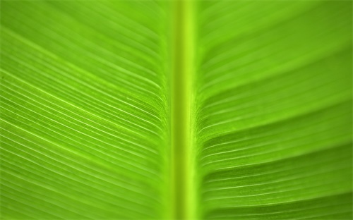 基督教神鹰舞蹈,《吴越》杂志舞蹈《巴吴》难度挺高的